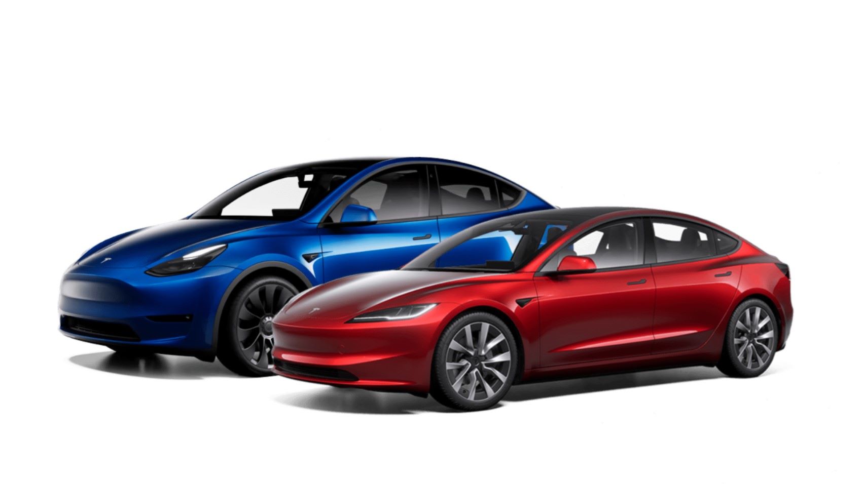¿Tesla se ve afectada por la personalidad polarizadora de Elon Musk?
