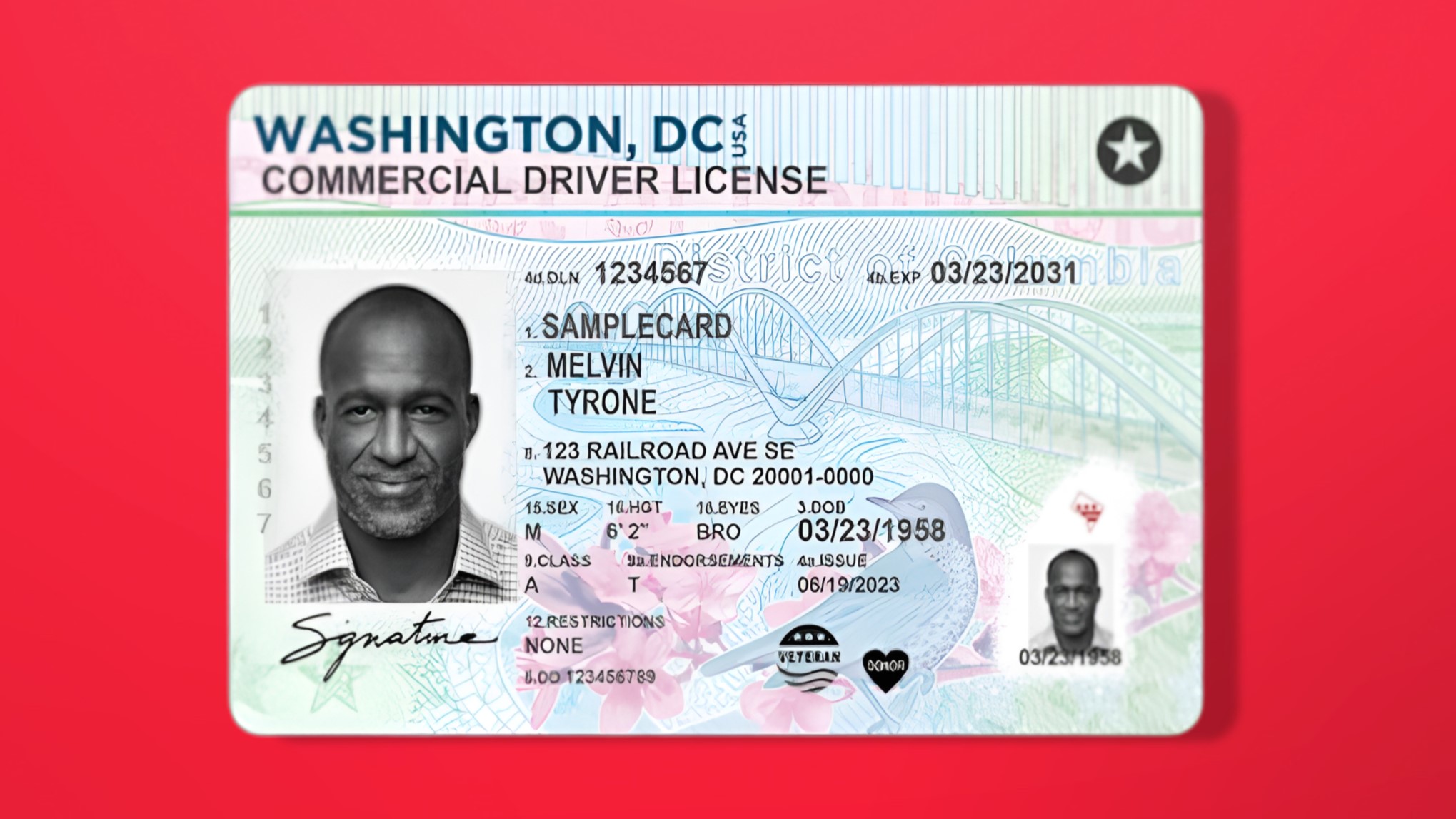 Número de licencia de conducir USA: Cuál es y por qué hay que conocerlo