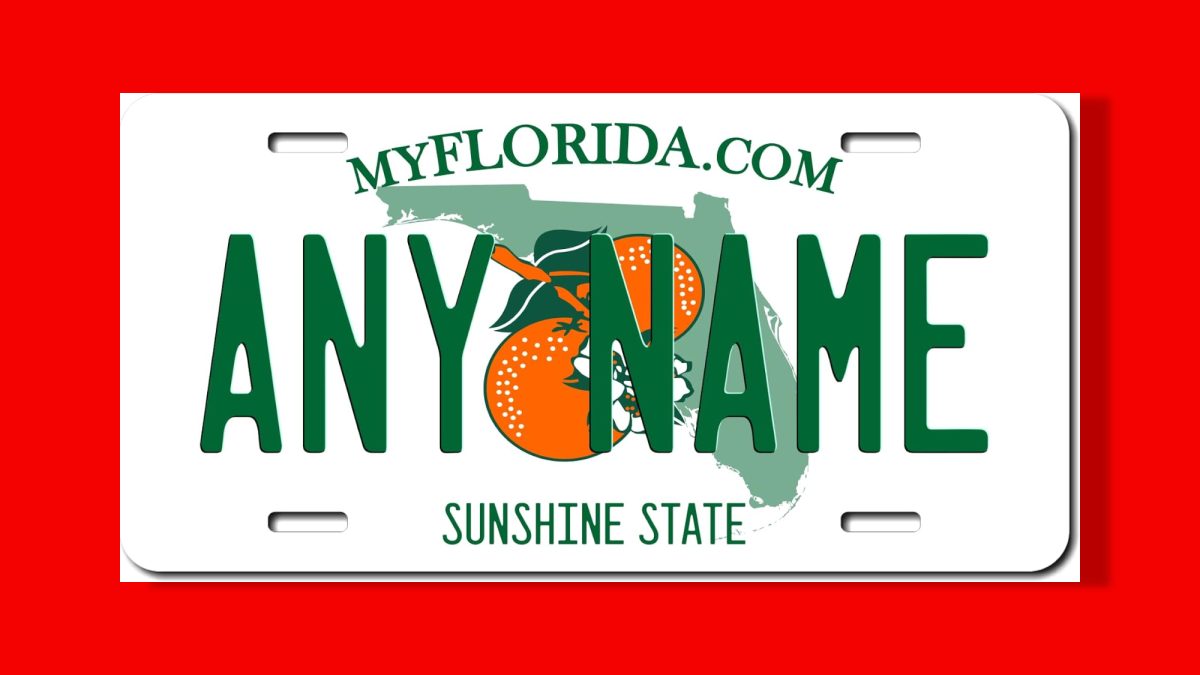 Targa Personalizzata Della Florida / Targa Decorativa Per ATV - Foto 5