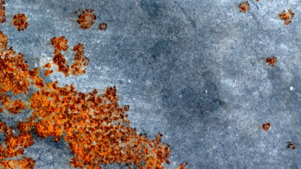 Removedor de óxido para autos Uso y las marcas más recomendadas