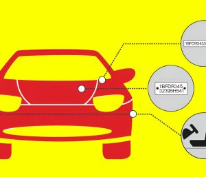 Cuál es y dónde ver el número de VIN de un auto