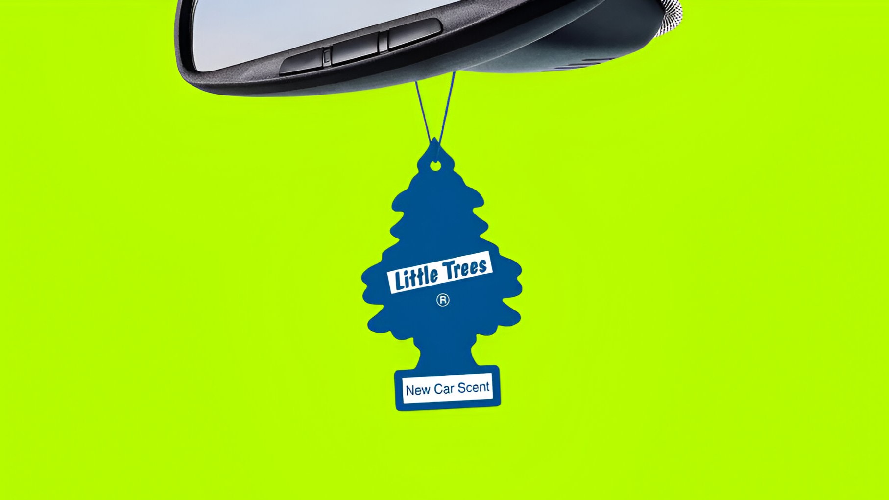 Olores para autos: Alternativas caseras, naturales y sin químicos