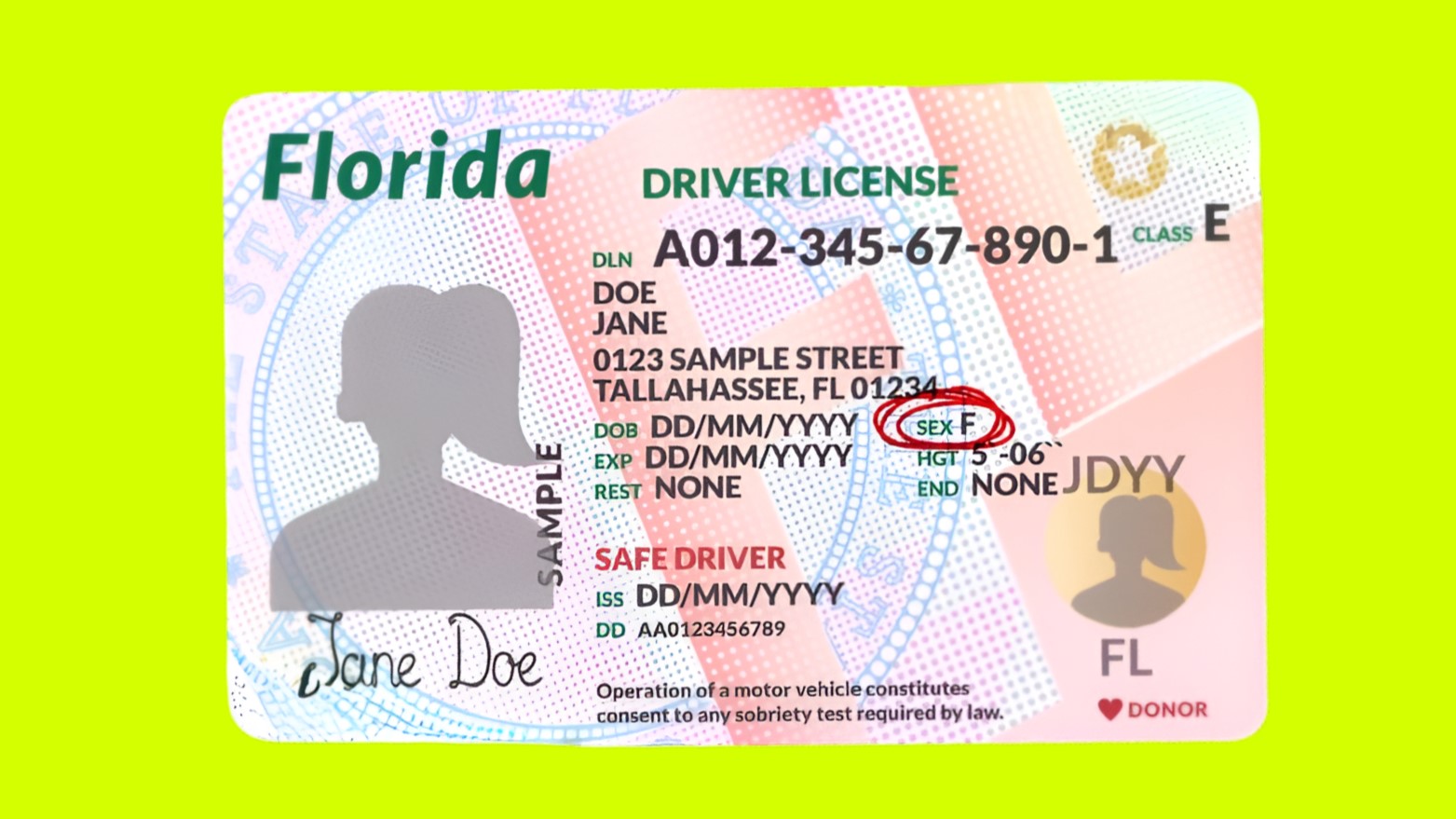 ¿Cómo hacer una cita para la licencia de manejo en Florida