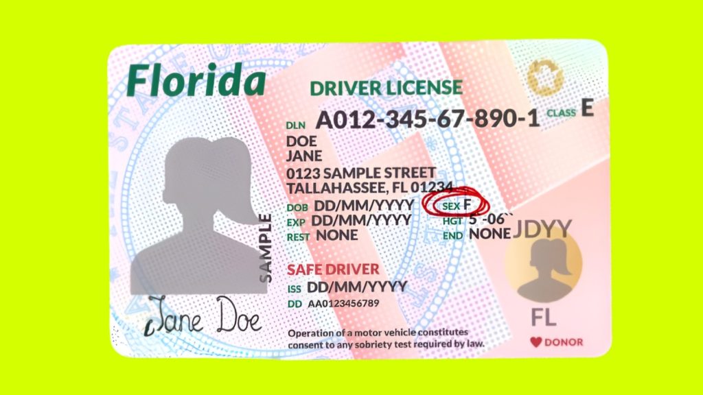¿Cómo hacer una cita para la licencia de manejo en Florida
