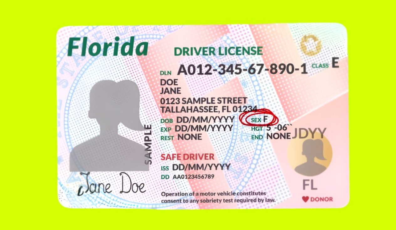 ¿Cómo hacer una cita para la licencia de manejo en Florida