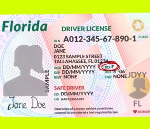 ¿Cómo hacer una cita para la licencia de manejo en Florida