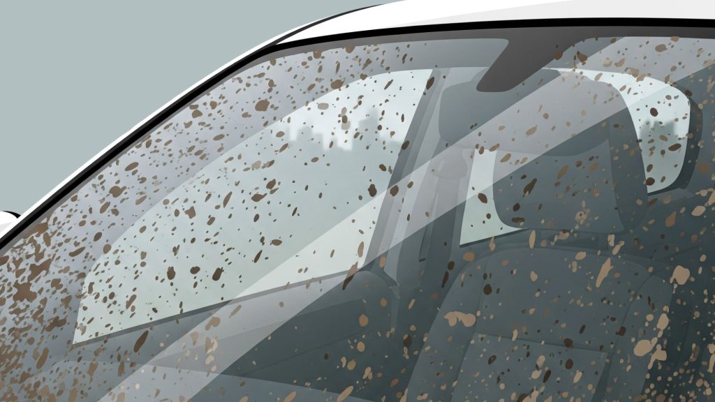 Cuál es el mejor líquido para limpiar vidrios de auto