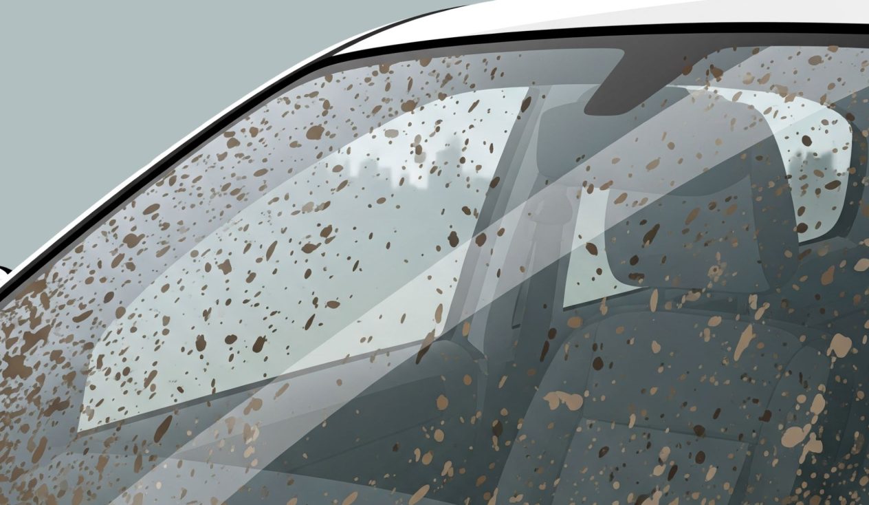 Cuál es el mejor líquido para limpiar vidrios de auto