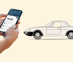 ¿Cómo checar las placas de un carro en California