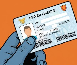 Estados donde se puede sacar licencia de conducir sin seguro social