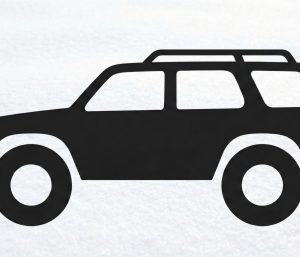 Mejores carros para la nieve