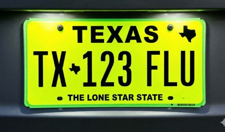 Cómo buscar un carro por la placa